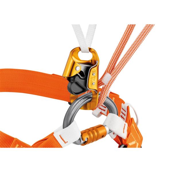 Petzl OMNI TRIACT LOCK vícesměrová karabina